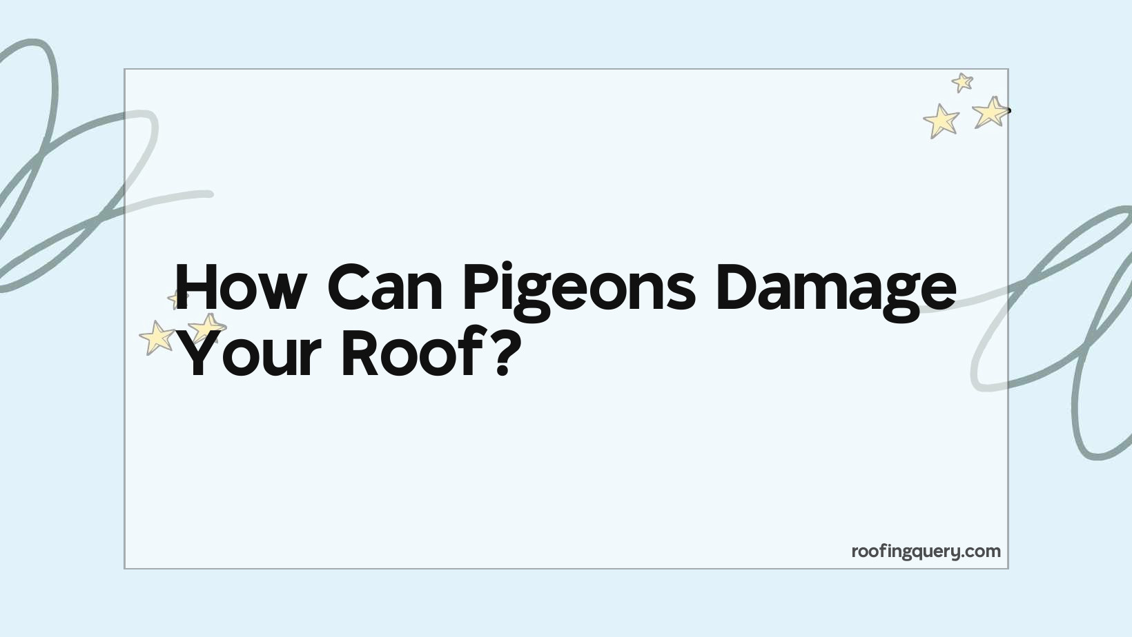 Can Pigeons Damage Your Roof