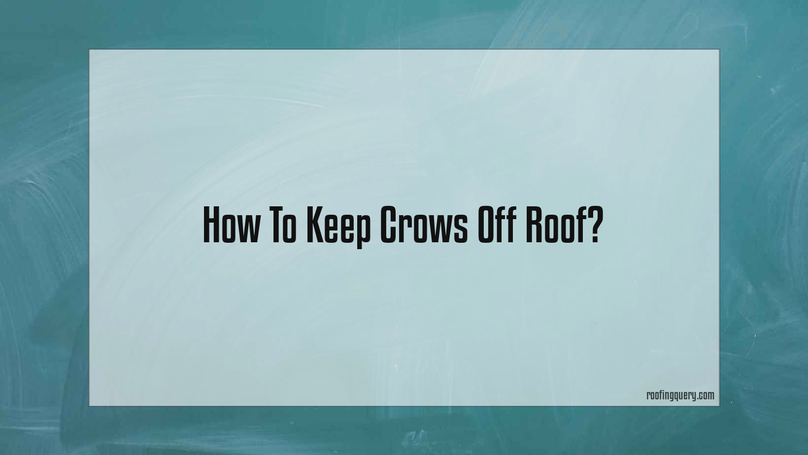 How To Keep Crows Off Roof?