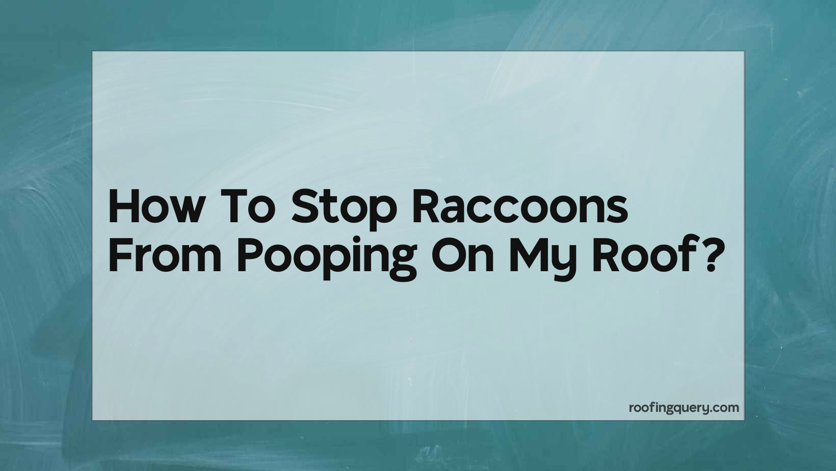 How To Stop Raccoons From Pooping On My Roof?