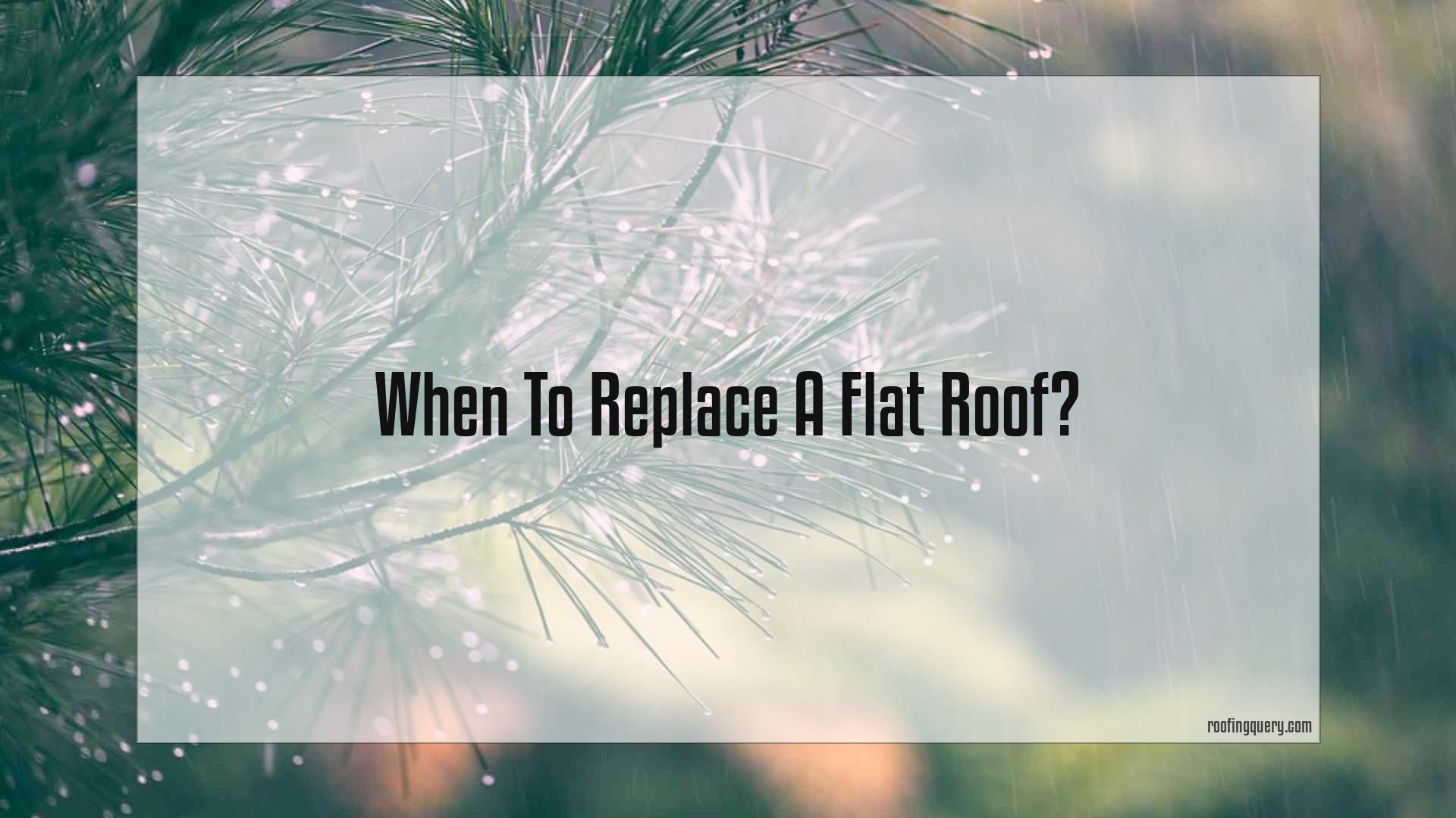 When To Replace A Flat Roof