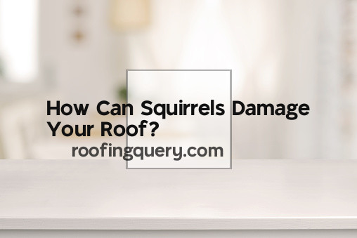 Can Squirrels Damage Your Roof