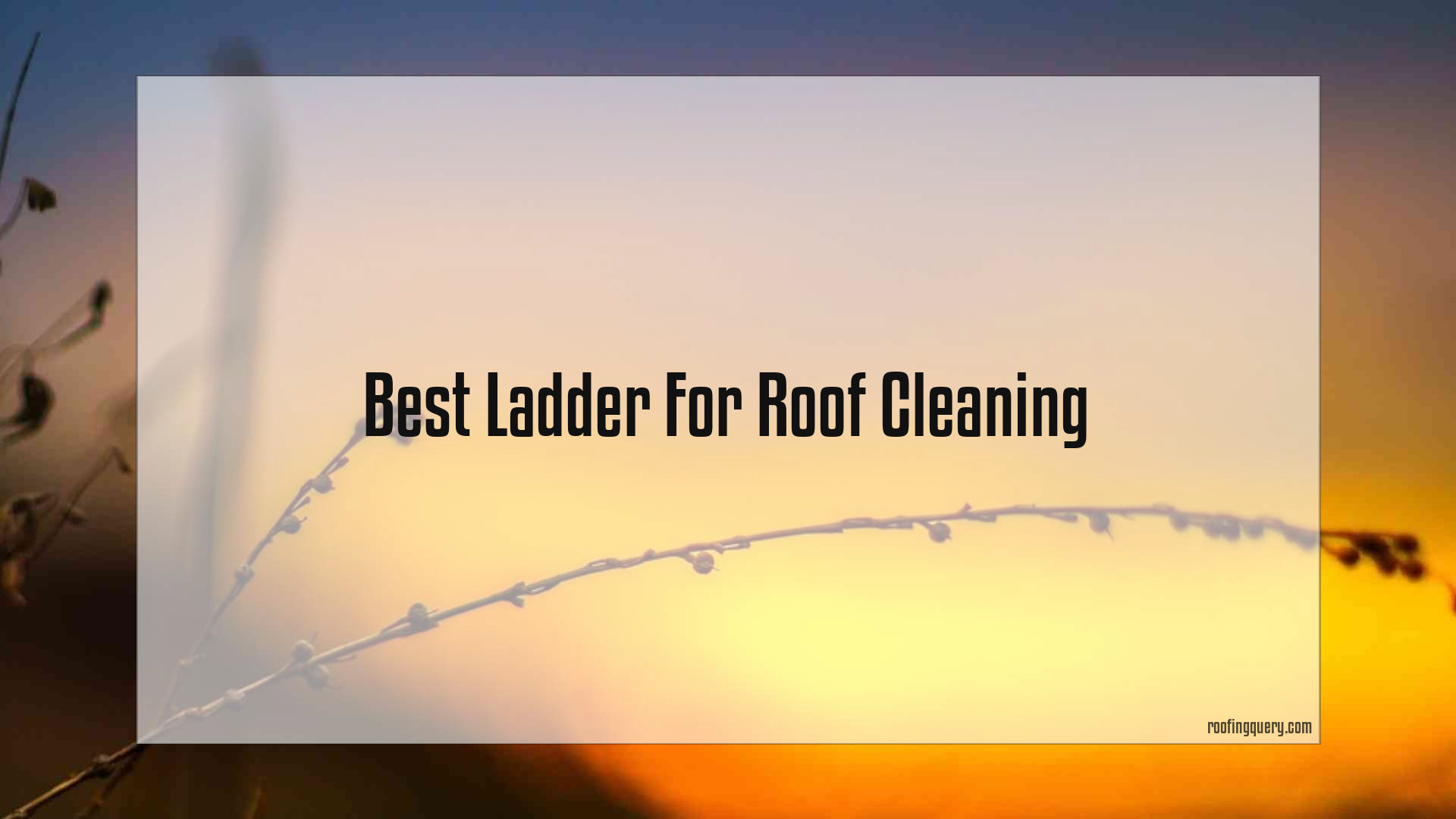 Best Ladder For Roof Cleaning