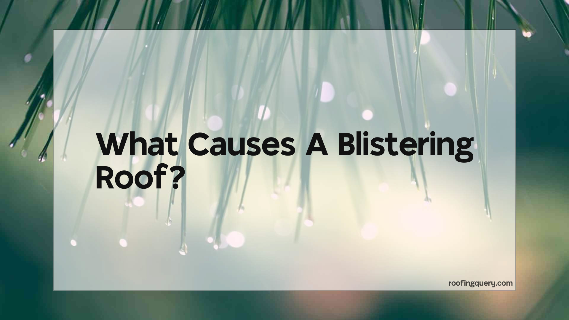 What Causes A Blistering Roof