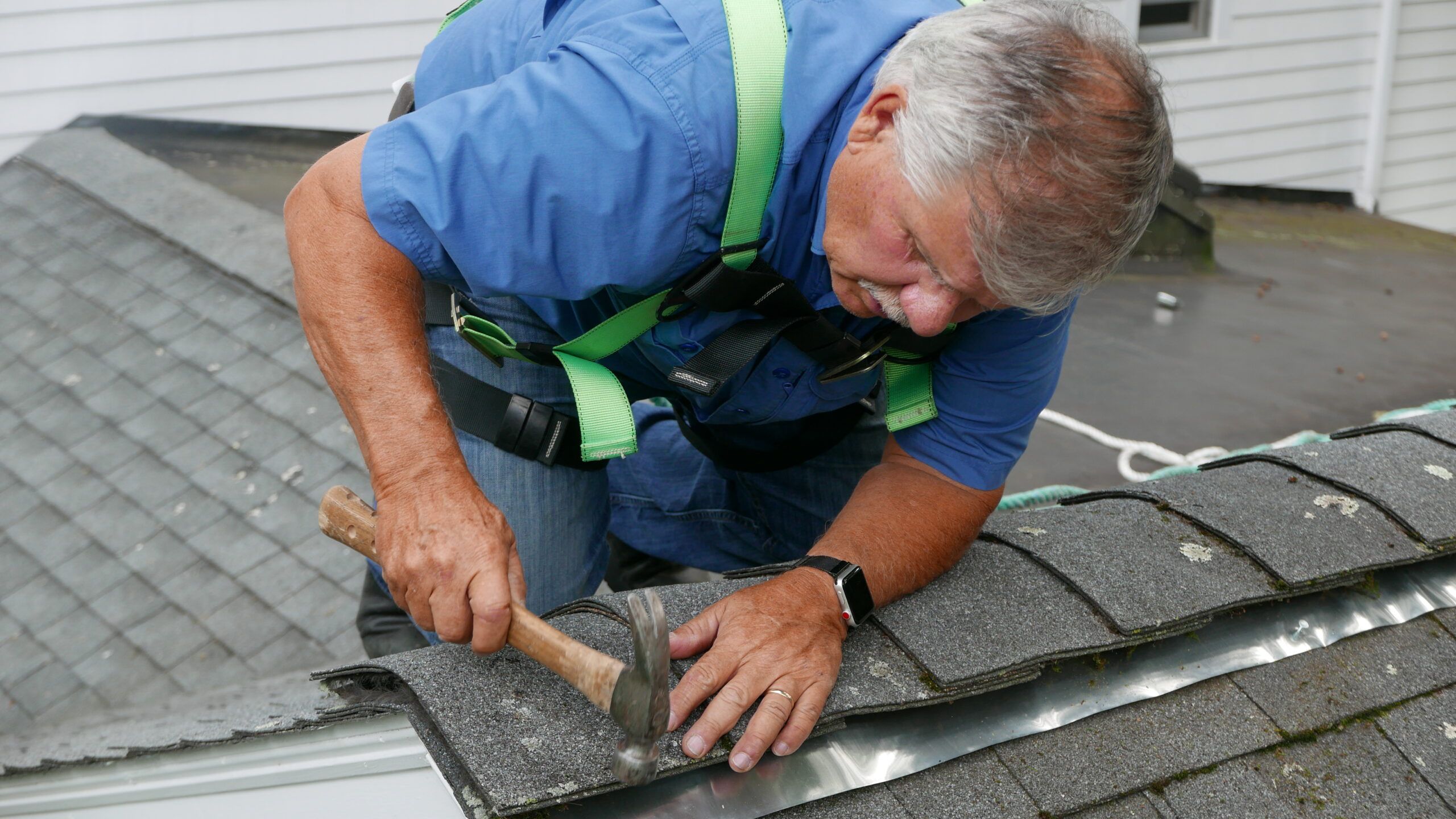 Diy Tips for Moss And Algae Removal from Roofs
