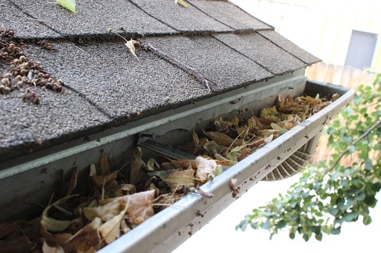 How to Properly Clean And Maintain Roof Gutters